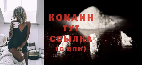 тгк Магас
