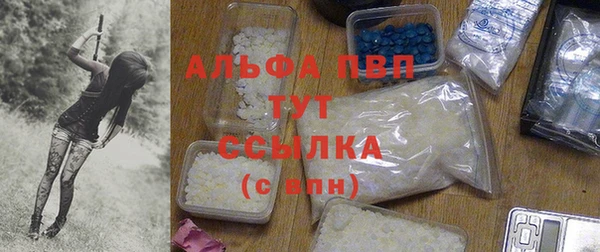 тгк Магас