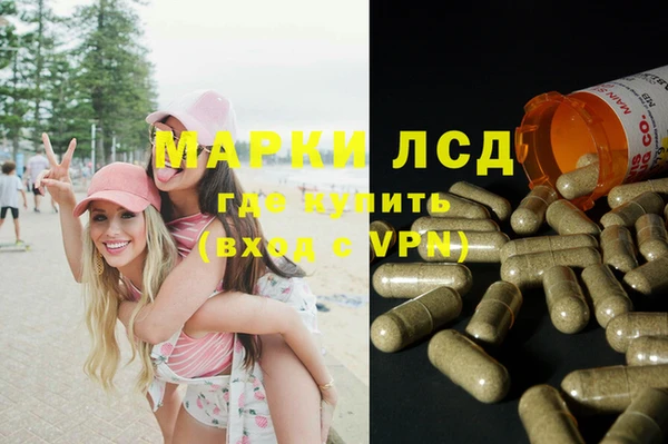 apvp Магадан