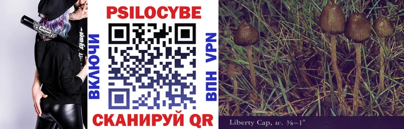 ОМГ ОМГ ссылки  Навашино  Псилоцибиновые грибы Psilocybe 