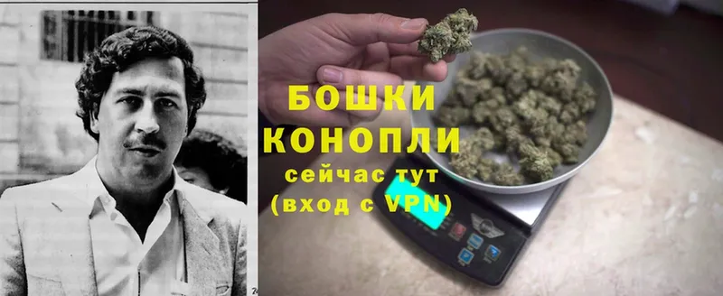 наркотики  Навашино  Марихуана OG Kush 